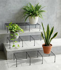 Metal Plant Stand Set of 4 | Black Iron Plant Riser for Living Room, Balcony & Garden Decoration